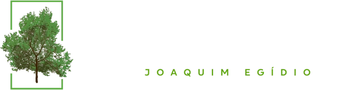 Santana Da Lapa - Logo Santana Da Lapa